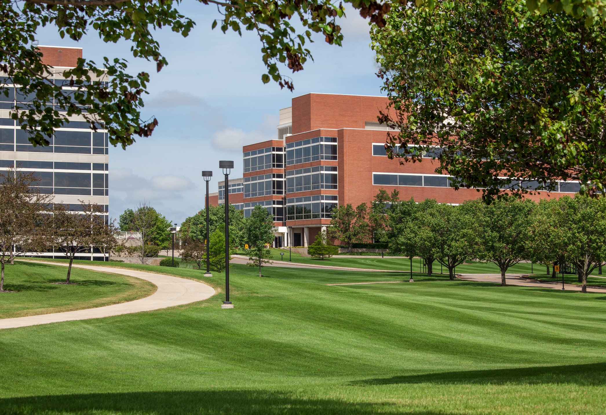 Greenscape