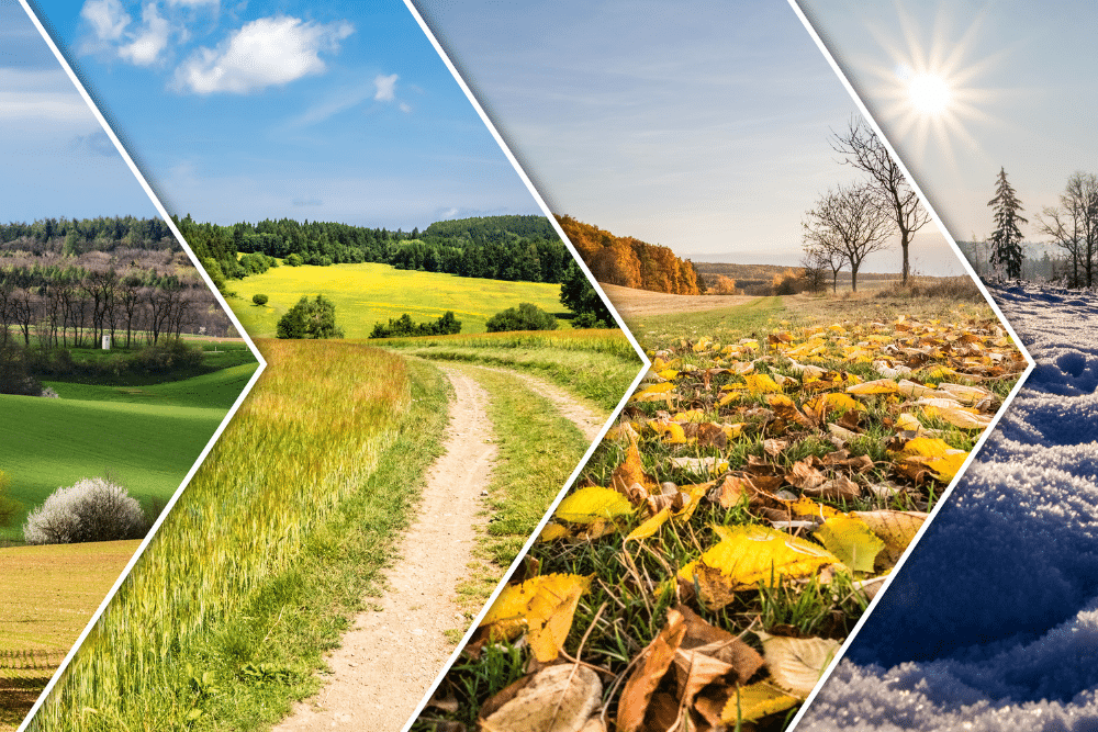 The Four Seasons of the Business Year